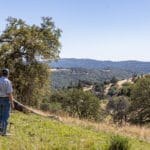 Photo 6 for Personeni Ranch