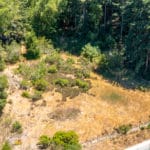 Photo 5 for Scotts Valley Acres
