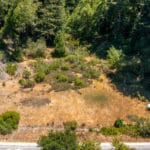 Photo 3 for Scotts Valley Acres