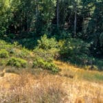 Photo 6 for Scotts Valley Acres