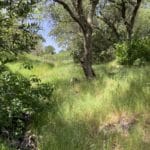 Photo 26 for Green Valley Exclusive 20 Acre Residential View Lot