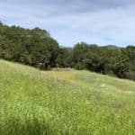 Photo 18 for Green Valley Exclusive 20 Acre Residential View Lot