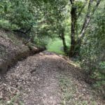 Photo 21 for Green Valley Exclusive 20 Acre Residential View Lot