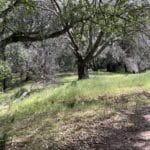 Photo 22 for Green Valley Exclusive 20 Acre Residential View Lot
