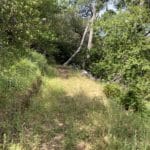 Photo 23 for Green Valley Exclusive 20 Acre Residential View Lot