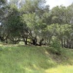 Photo 24 for Green Valley Exclusive 20 Acre Residential View Lot
