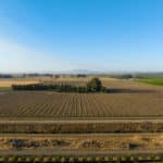 Photo 6 for GT Farms Almond Ranch