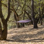 Photo 9 for Green Valley Exclusive 20 Acre Residential View Lot