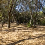 Photo 10 for Green Valley Exclusive 20 Acre Residential View Lot