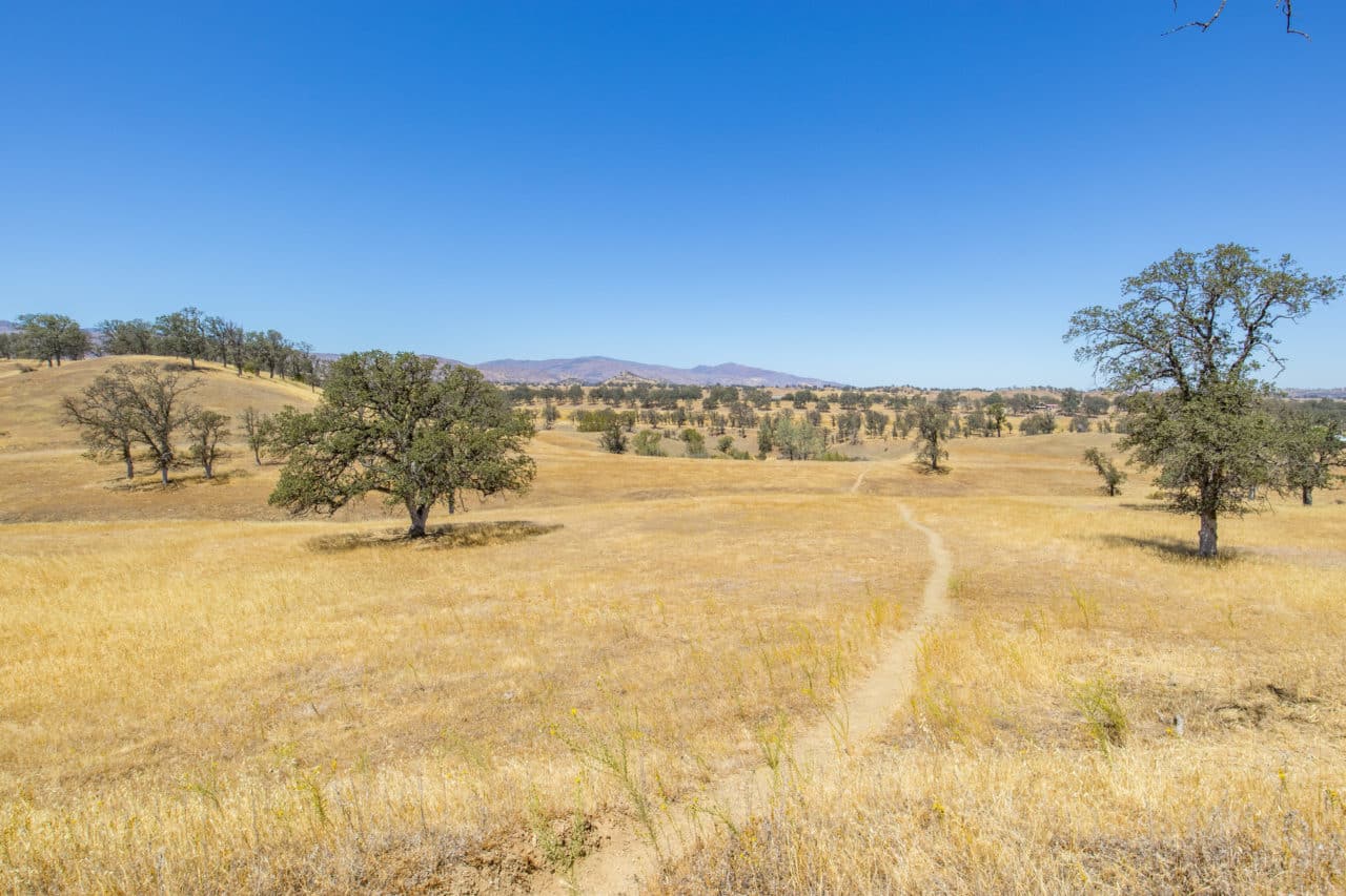 Elk Creek Ranchette California Outdoor Properties
