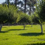 Photo 15 for Hat Creek Cattle & Hay Ranch