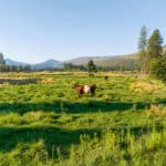 Photo 35 for Hat Creek Cattle & Hay Ranch