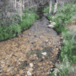 Photo 2 for Ruby Mountain Ranch 2