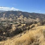 Photo 8 for Cantelow Hills 25 Acre Estate Lot