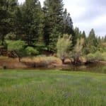 Photo 26 for Guinn Ranch