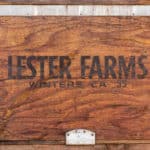 Photo 15 for Winters Agribusiness Fruit & Nut Cold Storage and Dry Yard