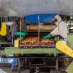 Photo 24 for Winters Agribusiness Fruit & Nut Cold Storage and Dry Yard