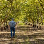 Photo 2 for Winters Agribusiness Fruit & Nut Cold Storage and Dry Yard