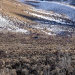 Photo 9 for Ruby Mountain Ranch 2
