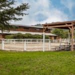 Photo 34 for Varian Arabians Ranch