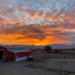 Photo 47 for Quail Ridge Ranch