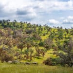 Photo 60 for Tres Mujeres Ranch