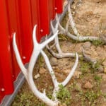 Photo 22 for Tres Mujeres Ranch