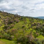 Photo 75 for Tres Mujeres Ranch