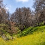 Photo 69 for Tres Mujeres Ranch