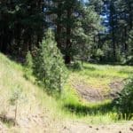 Photo 10 for Smithneck Ranch