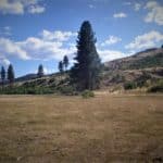 Photo 13 for Smithneck Ranch