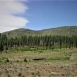 Photo 14 for Smithneck Ranch