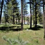 Photo 11 for Smithneck Ranch
