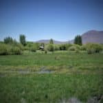 Photo 7 for Smithneck Ranch