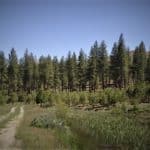 Photo 16 for Smithneck Ranch