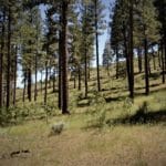 Photo 17 for Smithneck Ranch