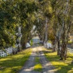 Photo 11 for Ruby Hills Horse and Almond Ranch