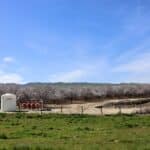 Photo 7 for I-5 and Shields II Almonds and Open Ground