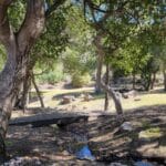 Photo 7 for Pinto Ranch a gem in the heart of San Felipe Valley