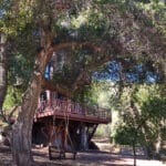 Photo 9 for Pinto Ranch a gem in the heart of San Felipe Valley
