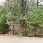 Photo 8 for Trinity Meadows lot in Trinity Center
