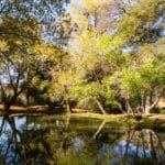 Photo 8 for Pinto Ranch