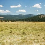 Photo 6 for Circle C Ranch