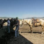 Photo 9 for Circle C Ranch