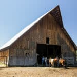 Photo 3 for Circle C Ranch
