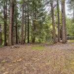 Photo 49 for Pioneer Creek Mobile Home #55