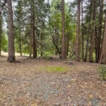 Photo 50 for Pioneer Creek Mobile Home #55