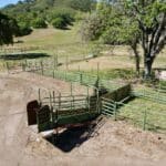 Photo 36 for Boekenoogen Carmel Valley Ranch