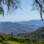 Photo 46 for Boekenoogen Carmel Valley Ranch