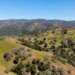 Photo 68 for Boekenoogen Carmel Valley Ranch